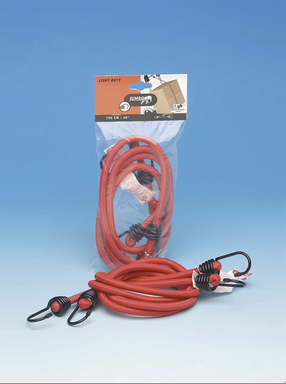 Spanngurt 100 cm Rot, 2 Stück, TÜV/GS - AD Abschleppseile für vielseitige Sicherheitsanwendungen Spanngurt 100 cm Rot, 2 Stück, TÜV/GS - AD Abschleppseile für vielseitige Sicherheitsanwendungen