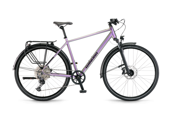 Winora Domingo 12 Pro Chameleon - Hochwertiges Citybike 48 cm