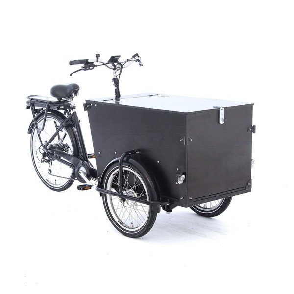 Babboe Pro Trike XL: Elektro-Lastenrad mit 300L Box, Anthrazit