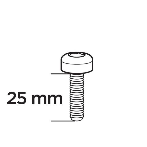 SCREW SF M6x25mm 3065