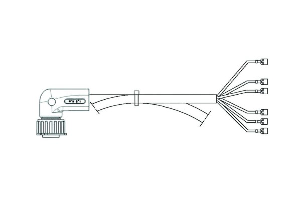 AMP Kompaktstecker 4m Kabel von VIGNAL für HEC-Leuchte bei M.A.N. LC7/LC5