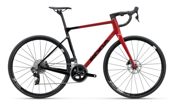 KOGA ROQA CARBON PREMIUM Fahrrad Size XL - Hochleistungs-Fahrrad für Profis und Enthusiasten