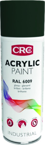 Fir Green Acrylspray 6009 400ml - Korrosionsschutz CRC