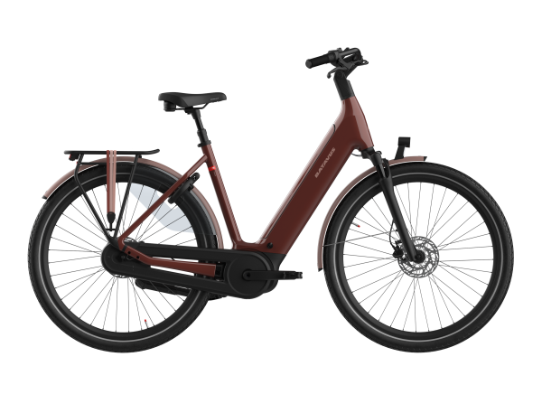 BATAVUS Finez E-go Power Plus 750 - Premium E-Bike in Dark Orange, 57 Frame