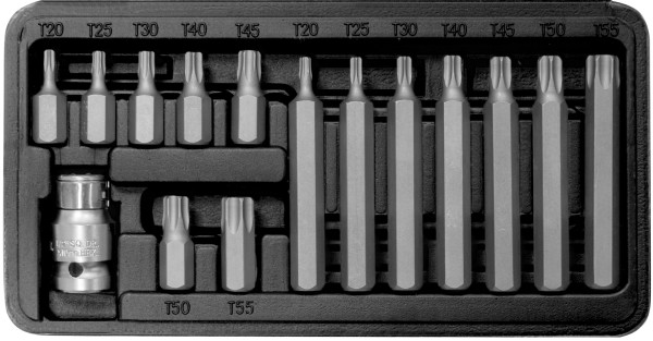 15-Teiliger Industriequalität Torx-Steckschlüssel-Satz von SW-STAHL - T 20 bis T 55