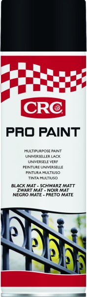PRO PAINT Schwarz matt Spraydose 500 ml
